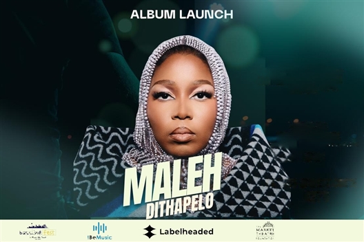 The Dithapelo Experience